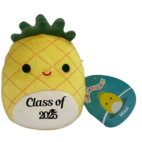 Set of 6 Squishmallows 5 Mini Plush Customized with Class of 2025